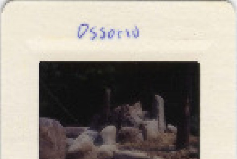 Front and back (ddr-densho-377-502-mezzanine-859bf71c7d)