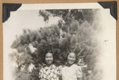 Two girls in printed dresses (ddr-densho-542-193)