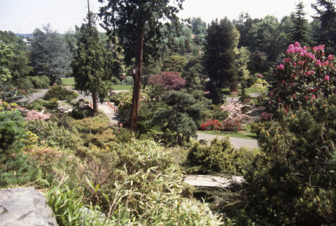 View down Mountainside toward Heart Bridge, parking area (ddr-densho-354-1959)