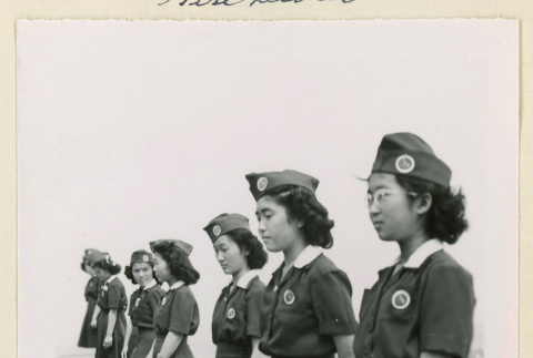 Girl Scouts stand by a row of plants (ddr-densho-37-1144)