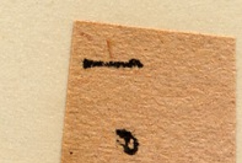 Back (ddr-njpa-1-1038-mezzanine-013dd500b0)
