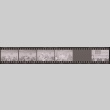 Negative film strip for Farewell to Manzanar scene stills (ddr-densho-317-85)