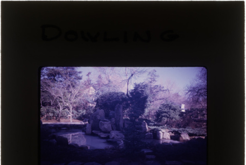Garden at the Dowling project (ddr-densho-377-691)