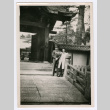 Mitsuye Takemiya and Charles Roeslin Jr. at Daikaku-ji Temple (ddr-densho-550-28)