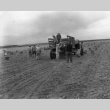 Harvesting potatoes (ddr-fom-1-43)