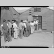 Japanese American workers waiting in line (ddr-densho-37-421)