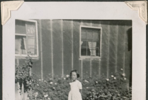 Young girl standing by a camp garden (ddr-densho-321-172)