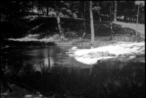 Pond with landscaping (ddr-densho-377-1496)
