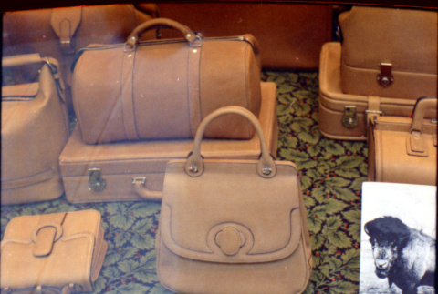 Display of handbags (ddr-densho-426-730)