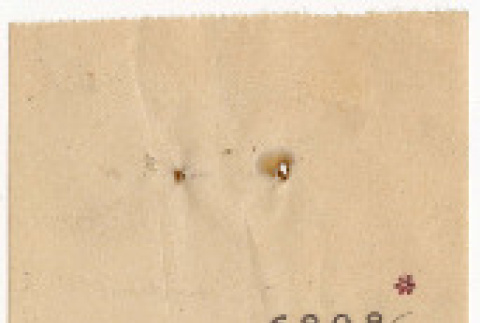 Set of accounting lists on adding machine tape, backs of blank Starlight Laundry Receipts (ddr-densho-423-304)