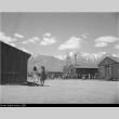 Manzanar concentration camp (ddr-densho-153-339)