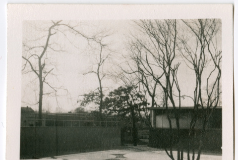 Rock garden (ddr-densho-377-2148)