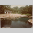Pool in backyard (ddr-densho-377-1711)