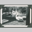 Pelican in a bird house (ddr-densho-328-462)