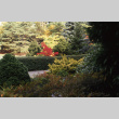 Looking north from Japanese Garden (ddr-densho-354-956)