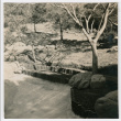 Pond bed (ddr-densho-377-2252)