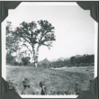 Field and tree with men in foreground (ddr-ajah-2-203)