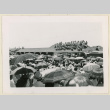 Crowd watches from a roof (ddr-densho-37-1444)