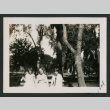 three women on a bench (ddr-densho-378-618)