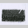 Company G 200 Infrantry Regiment photograph (ddr-densho-292-54)
