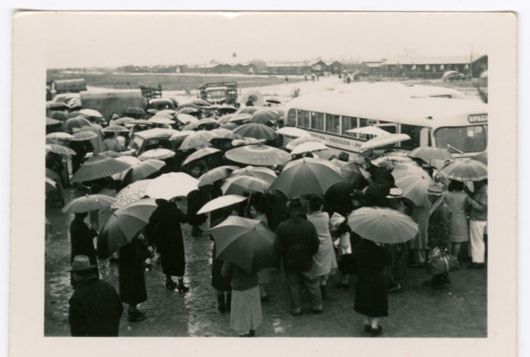 People loading onto buses holding umbrellas (ddr-densho-475-393)
