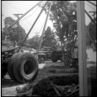 Man standing by truck planting a tree (ddr-densho-377-1547)