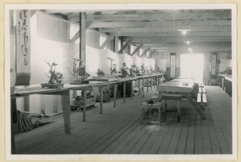 Floral arrangement exhibit (ddr-densho-37-1885)