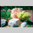 Rock landscaping (ddr-densho-377-2609)