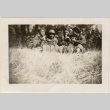 Four men sitting in tall grass, drinking (ddr-densho-466-264)