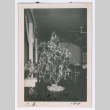 Christmas Tree (ddr-densho-556-15)