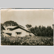 House and field (ddr-densho-426-1556)