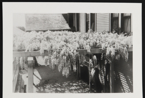 Photograph (ddr-densho-433-559-mezzanine-548b1742b5)
