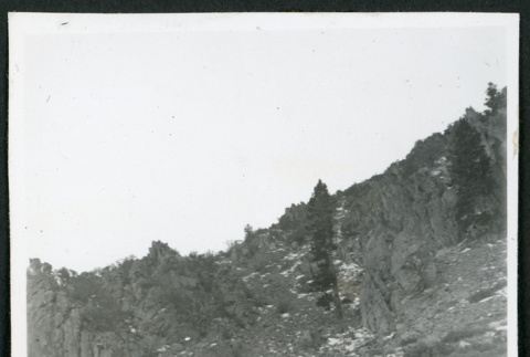 Photograph of a mountainside with some snow and pines trees (ddr-csujad-47-291)