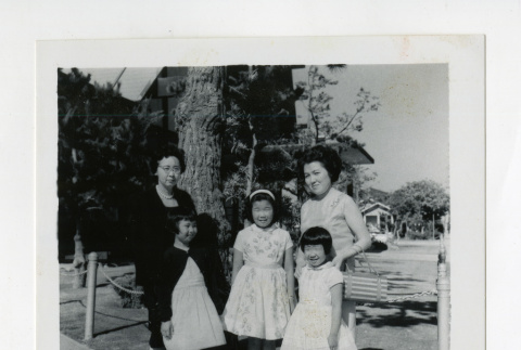 Masukawa family (ddr-csujad-38-321)