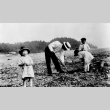 Family digging clams on Puget Sound (ddr-densho-39-1)