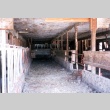 Current view of barn on former Issei dairy farm (ddr-densho-35-45)