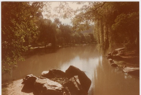 Pond (ddr-densho-377-2035)