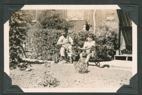 Young children on tricycles (ddr-densho-550-264)