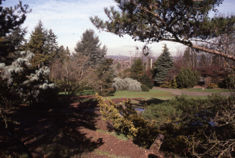 Looking north toward Renton Avenue from old front entrance (ddr-densho-354-1168)