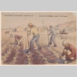 Painting showing guayule harvesting (ddr-manz-2-8)