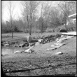 Beginnings of landscaping with stone path and boulders place in front of house (ddr-densho-377-1391)