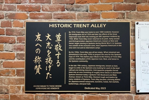 Trent Alley Video Project Collection (ddr-densho-525)