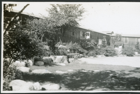 Photograph of the gardens around the Children's Village and Manzanar hospital (ddr-csujad-47-247)