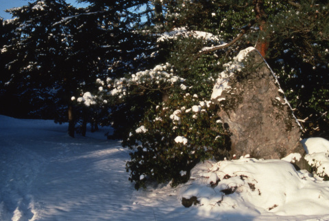 Memory Stone after snow storm (ddr-densho-354-1020)