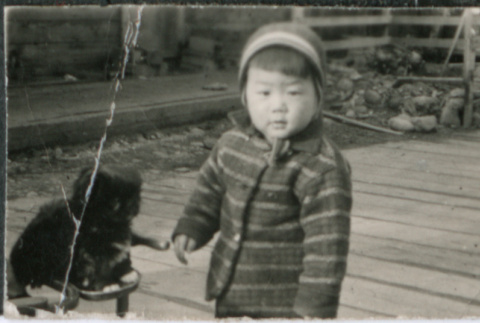 Child with kitten (ddr-densho-523-116)