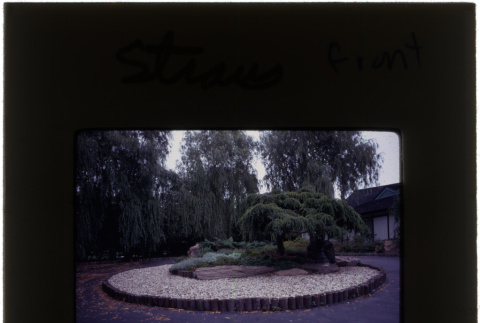 The front driveway and garden at the Straus project (ddr-densho-377-611)