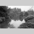 Pond in the Japanese Garden (ddr-densho-354-774)