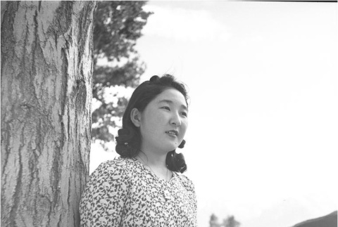 Nisei woman next to a tree (ddr-densho-153-254)