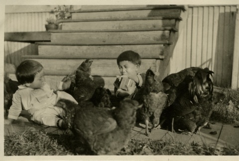 Nisei children with chickens (ddr-densho-182-155)
