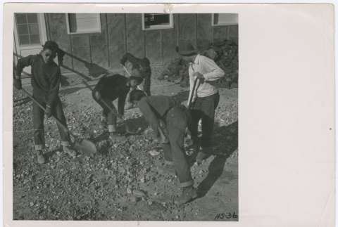 High school students cleaning up outside of Topaz High School (ddr-densho-392-52)